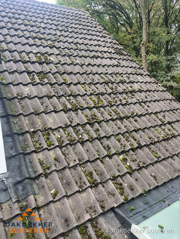 Verweerd pannendak met mosgroei dat renovatie nodig heeft in Susteren Verweerd pannendak met mosgroei dat renovatie nodig heeft in Susteren